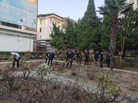 菏泽牡丹大酒店有限公司 芍药分株种 花开邀宾来(图1)