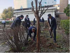 菏泽牡丹大酒店有限公司 芍药分株种 花开邀宾来(图2)
